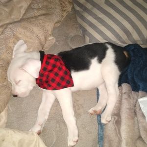 Meet your Posher, Briana